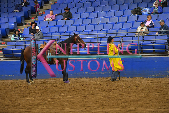 HEMPHILL, JESSICADSC_4104.JPG