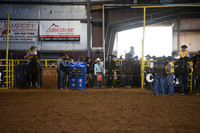 CAREY-MCGIRRDSC_2399.JPG