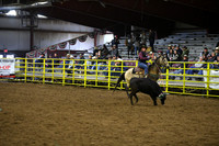 BAUER-BOOTEDSC_3557.JPG
