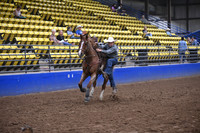 STEARNS, SUTTONDSC_4253.JPG
