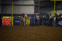 Tie Down Roping