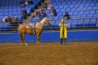 BOOMER, SUMMERDSC_2213.JPG