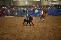 COBB, COOPER DSC_2200.JPG