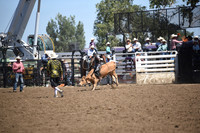 ACHESON, PAYSONDSC_4633.JPG
