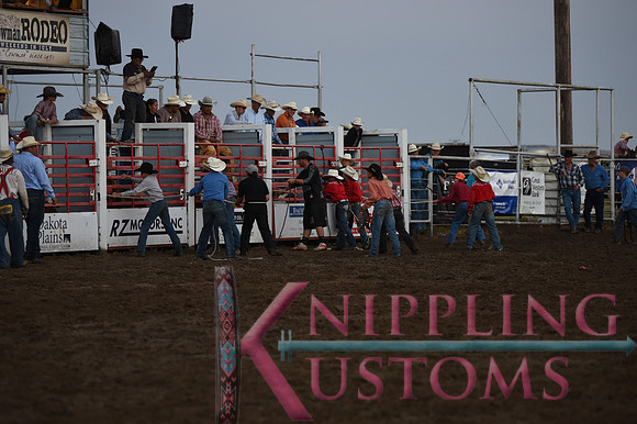 Wild Pony RaceDSC_6071