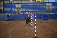 GILLEN, KENDALLDSC_1924.JPG