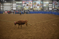 BOOMSMA-BOOMSMA DSC_9649.JPG