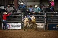 Bull Riding