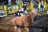 WILD STEER RIDINGDSC_6014.JPG