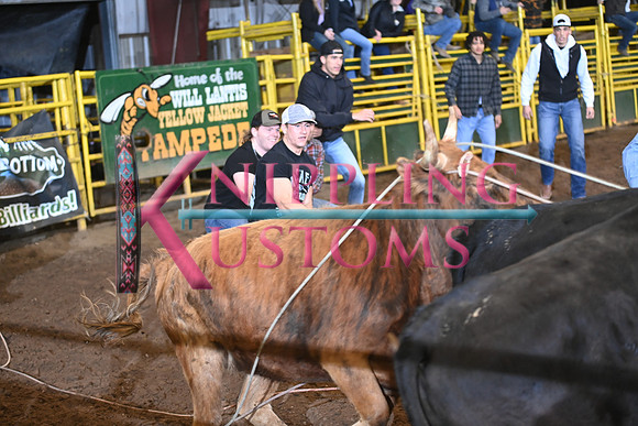 WILD STEER RIDINGDSC_6014.JPG