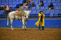 TIBBS, BAILEYDSC_2080.JPG