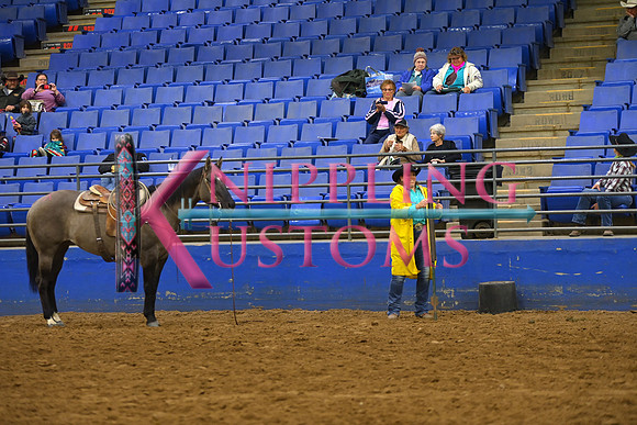 SEIDEL, BILLIDSC_2523.JPG
