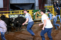 WILD STEER RIDINGDSC_6006.JPG