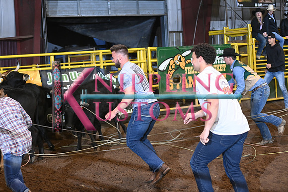 WILD STEER RIDINGDSC_6006.JPG