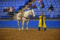 TIBBS, BAILEYDSC_2084.JPG