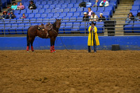 JOHNSTON, AUDRADSC_2779.JPG