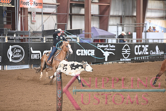 BRAZILE, TREVORDSC_1425.JPG