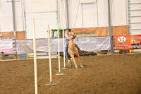CROSS, MAKAYLADSC_0542.JPG