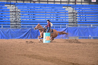 IRVING, GABIDSC_6733.JPG