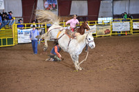 HUGHSON, CYDSC_3887.JPG