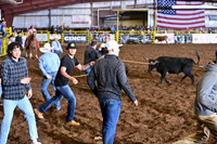 WILD RIDEDSC_4482.JPG
