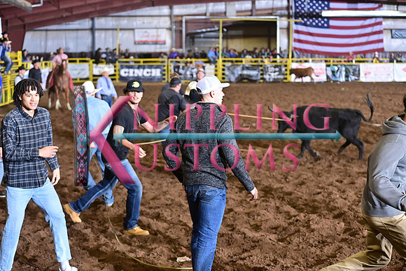 WILD RIDEDSC_4482.JPG
