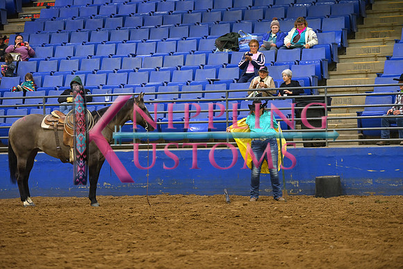SEIDEL, BILLIDSC_2526.JPG