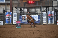 BLACKWELL, MISTYDSC_8932.JPG