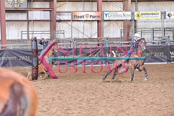 BRAZILE, TREVORDSC_3670.JPG