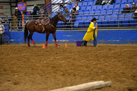 JOHNSTON, AUDRADSC_2774.JPG