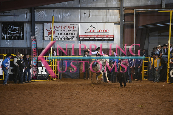 HANSON, SIDNEYDSC_6179.JPG