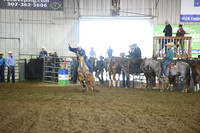 BRADLEY, CRDSC_4694.JPG