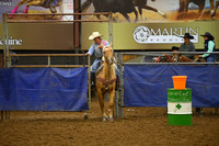 BOOMER, SUMMERDSC_2196.JPG
