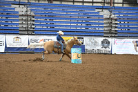 ROYER, BRANSONDSC_1060.JPG