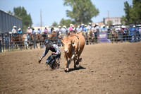 ACHESON, PAYSONDSC_4648.JPG