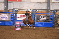 IRVING, GABIDSC_0513.JPG