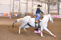 IRVING, GABIDSC_0369.JPG
