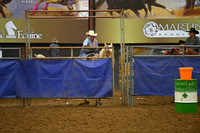 BOOMER, SUMMERDSC_2195.JPG