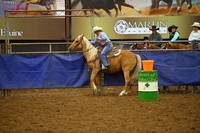 BOOMER, SUMMERDSC_2198.JPG
