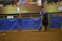 EDGAR, TOREEDSC_4031.JPG