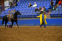 EDGAR, TOREEDSC_4045.JPG