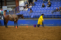 BORTON, BLUEDSC_3065.JPG