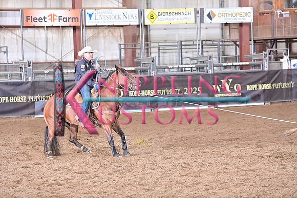 BRAZILE, TREVORDSC_3762.JPG