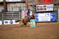 KOLB, SUSANDSC_0495.JPG