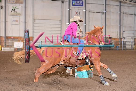 GALLES, KARADSC_9281.JPG