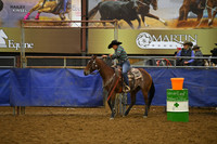 BORTON, BLUEDSC_3055.JPG