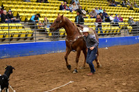 HAMMERSTROM, BRODIEDSC_1363.JPG