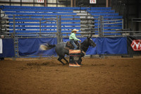 DOWLING, EMRYDSC_0138.JPG