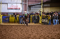 Calf Roping