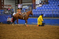 SHEPPICK, RYENDSC_3697.JPG